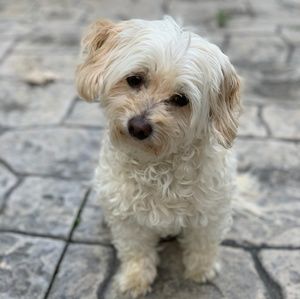 Meet your Posher, Teda